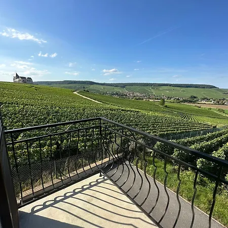 Au Coeur Du Terroir Champenois Villa Chavot-Courcourt Exterior photo