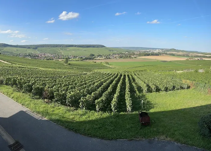 Au Coeur Du Terroir Champenois
