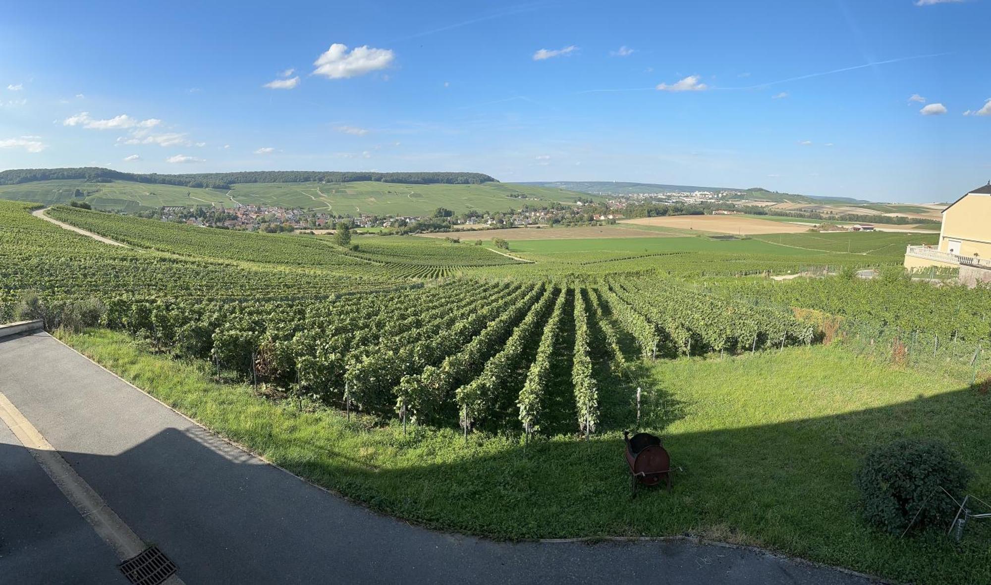 Au Coeur Du Terroir Champenois Villa Chavot-Courcourt