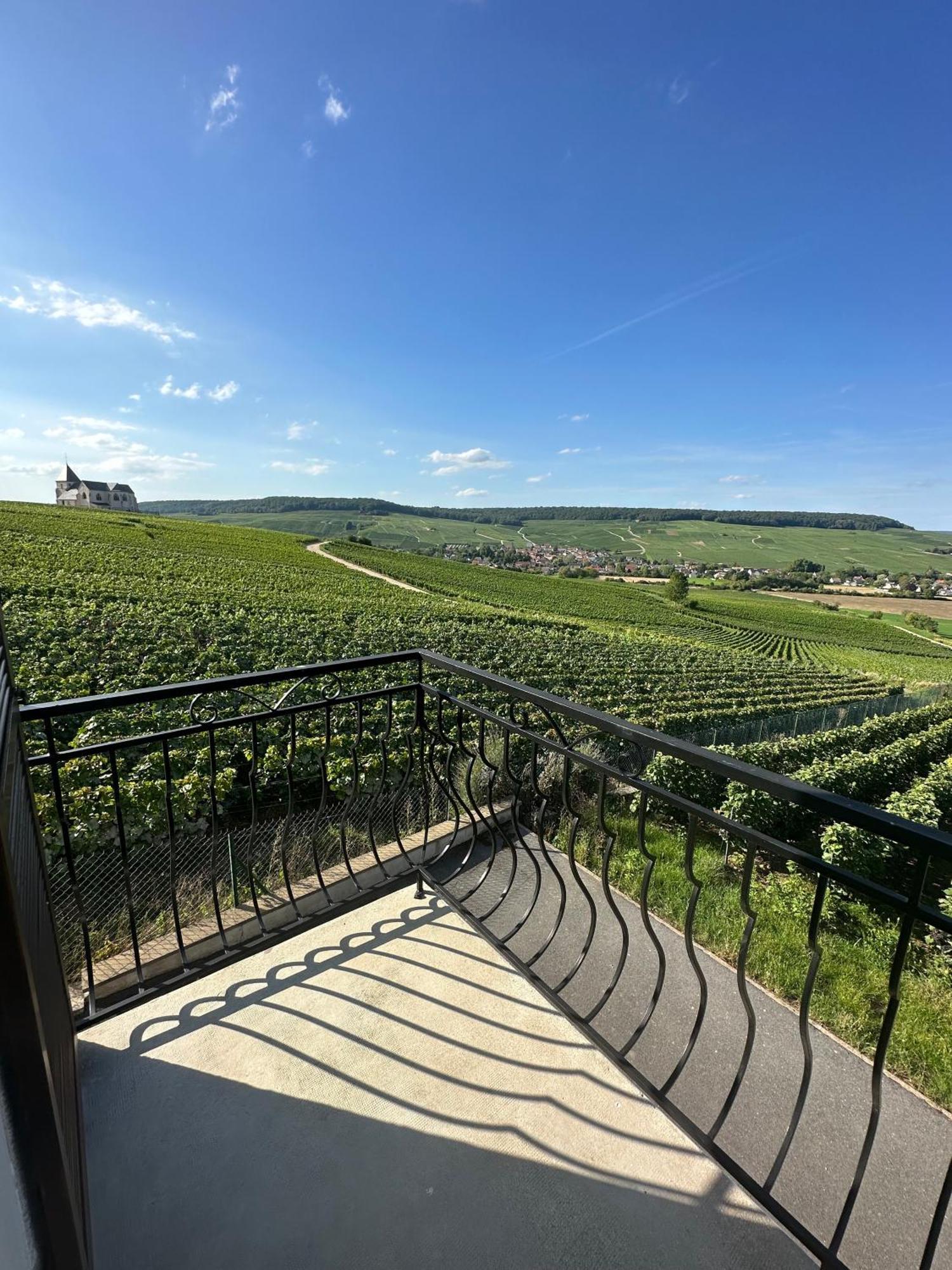 Villa Au Coeur Du Terroir Champenois Chavot-Courcourt