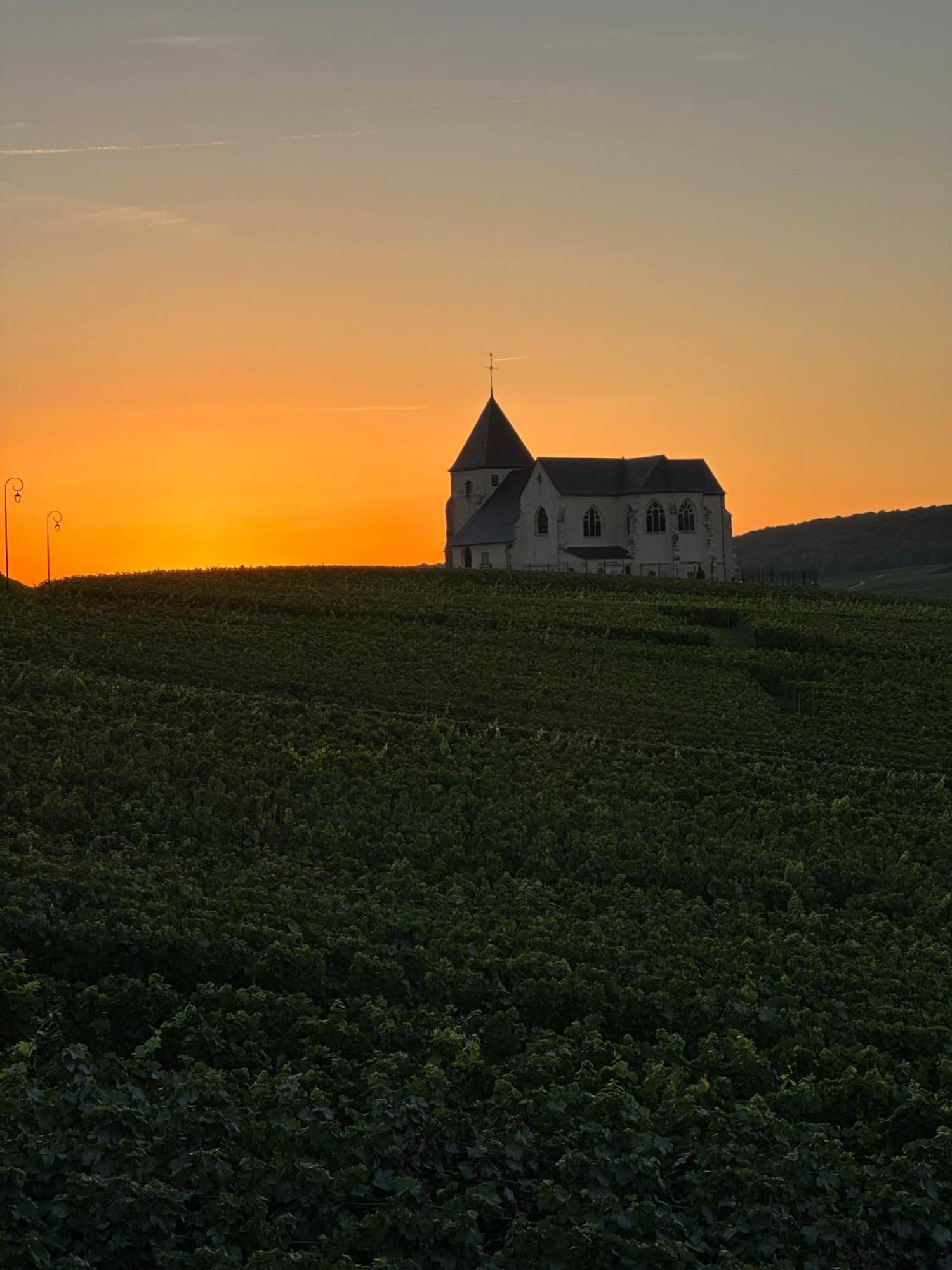 Au Coeur Du Terroir Champenois Villa Chavot-Courcourt